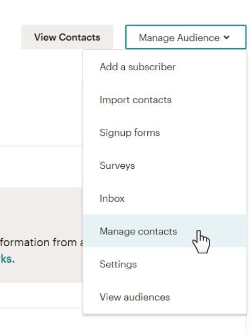 mailchimp segments vs groups